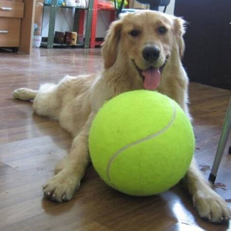 Jumbo-Tennis-Ball.jpg