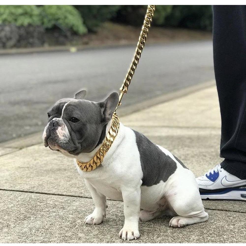 Kilo-Cuban-Link-Dog-Leash.jpg